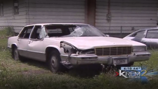 An Unlicensed, Uninsured Teen Hit A Moose With A Cadillac